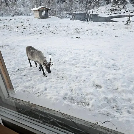 Leppaelaen Vanhatupa Rantasaunalla Chalet