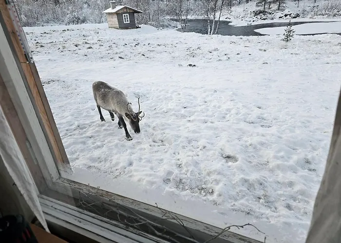 Leppaelaen Vanhatupa Rantasaunalla Шале