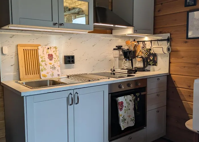 Leppaelaen Vanhatupa Rantasaunalla * Утсйоки