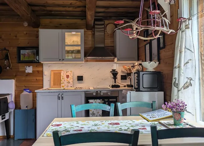 Leppaelaen Vanhatupa Rantasaunalla * אוטסיוקי